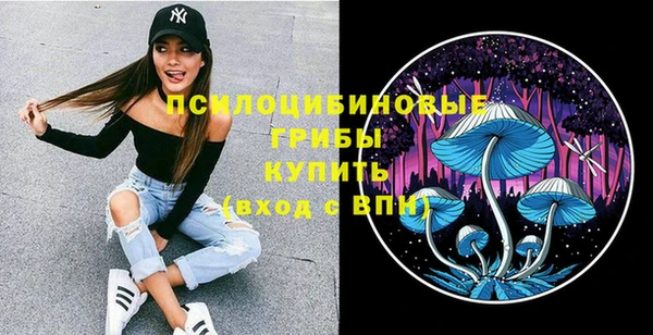 винт Алексеевка