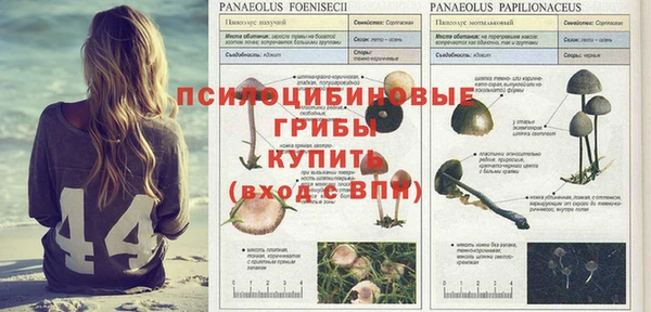 прущий лед Аркадак